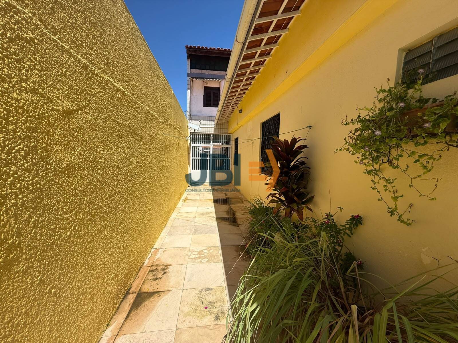 Casa, 4 quartos, 363 m² - Foto 20